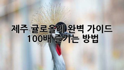 제주 귤로올레 완벽 가이드: 100배 즐기는 방법🍊