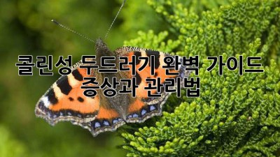 콜린성 두드러기 완벽 가이드: 증상과 관리법